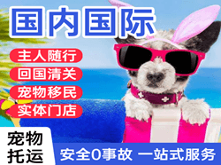 吴圩航空托运国际宠物托运 【国